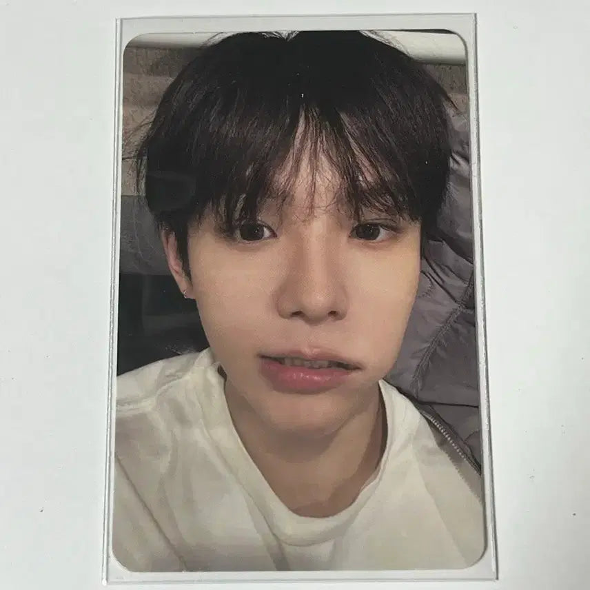 라이즈 페임 fame 쇼타로 챔버 포카 양도