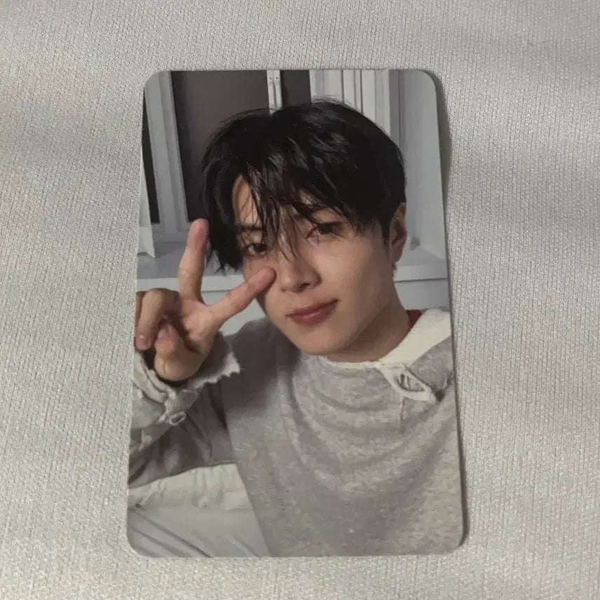 제이 포카 데이드림 앨범