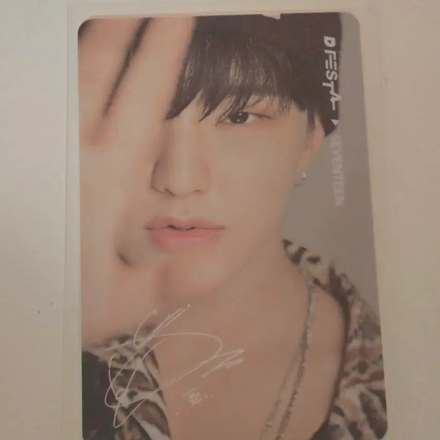 호시 디페스타 입장포카