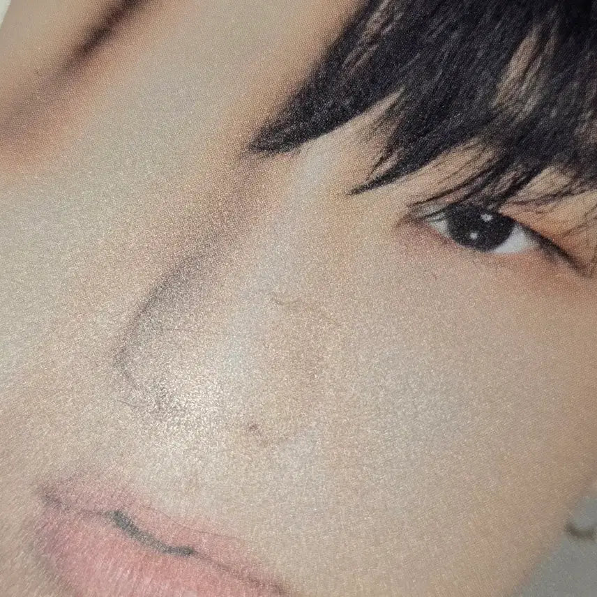 호시 디페스타 입장포카