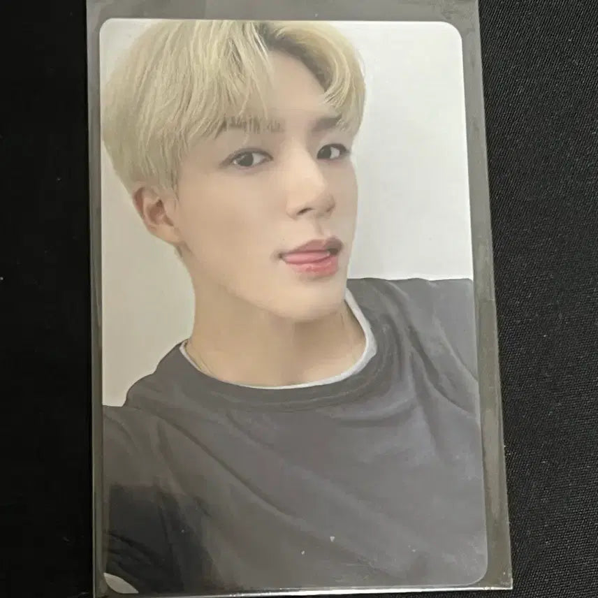 엔시티드림 케이팝머치 특전 포카 미공포 제노