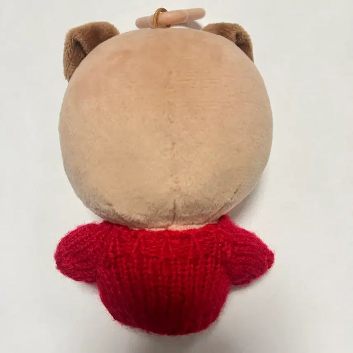 데이식스 (구) 20돈+옷(가격인하)