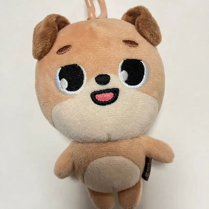 데이식스 (구) 20돈+옷(가격인하)