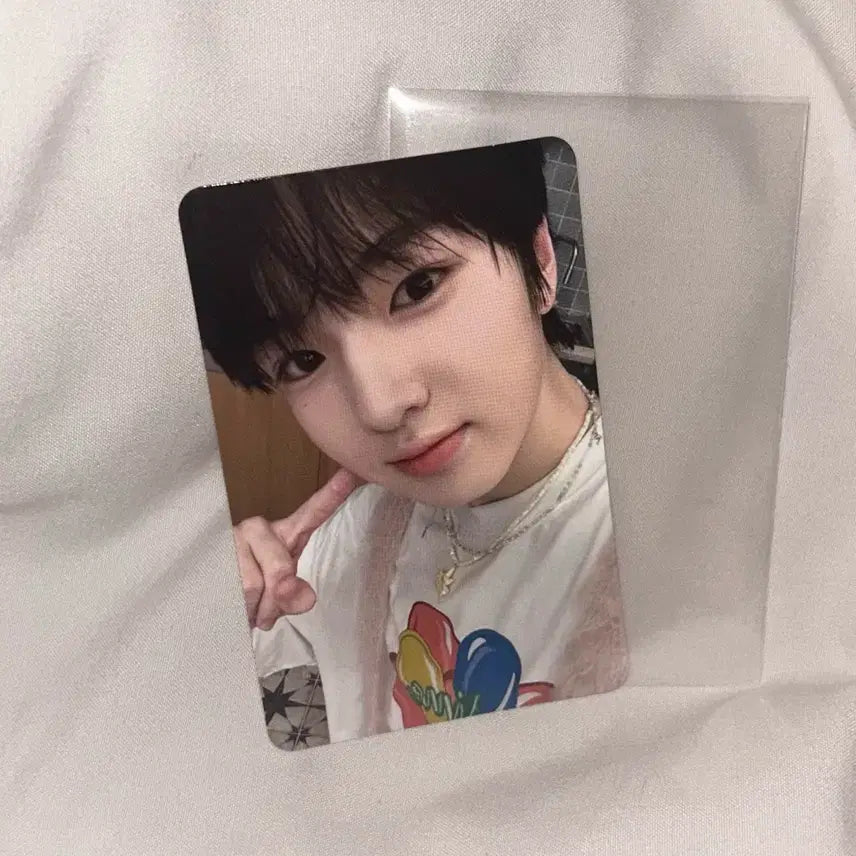 엔시티위시 사쿠야 스테디 팝업 포토카드