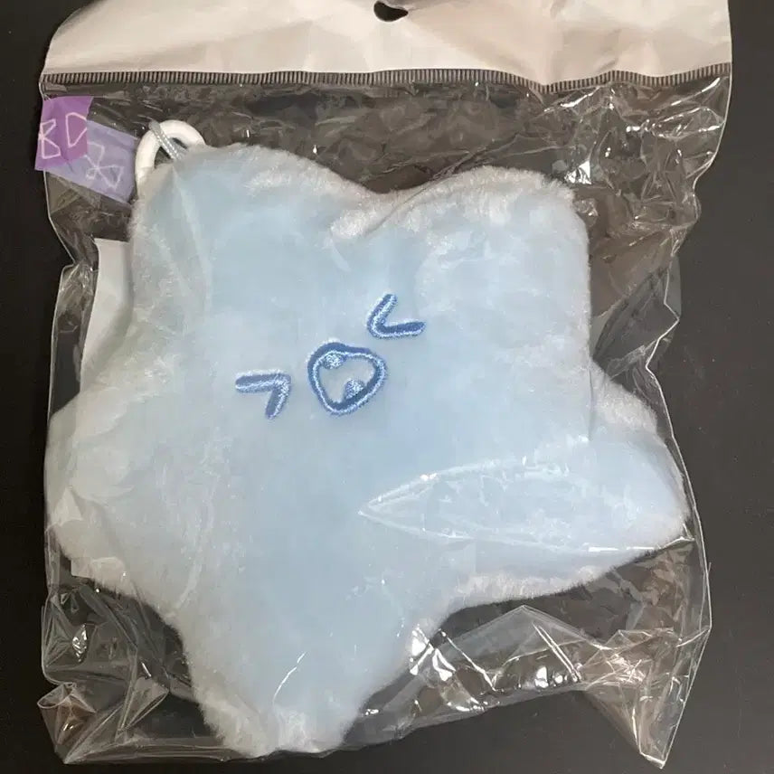 NCT127 엔시티127 해찬 에버랜드 스타버블 물가사리 리유저블백