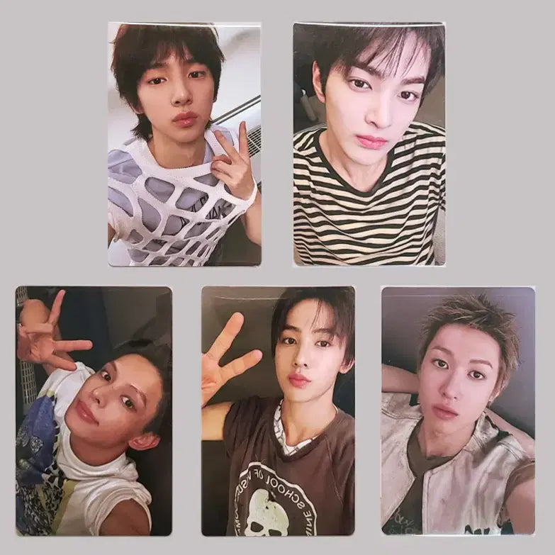 코르티스 위버스특전 5종세트