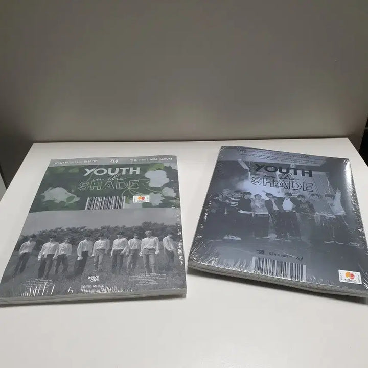 제로베이스원 Youth in the Shade 앨범 2종