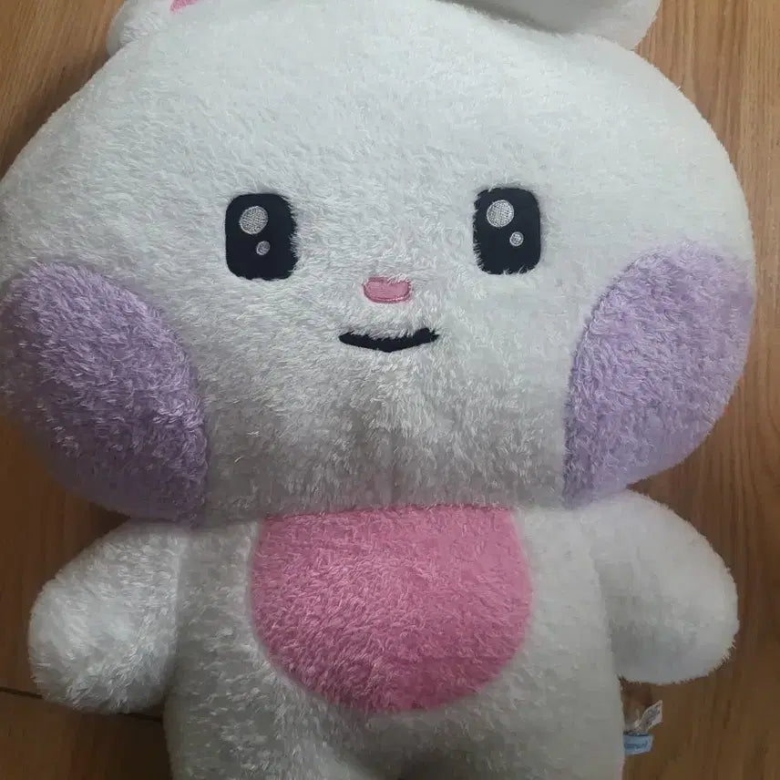 제로베이스원 유니니 제로니 한유진