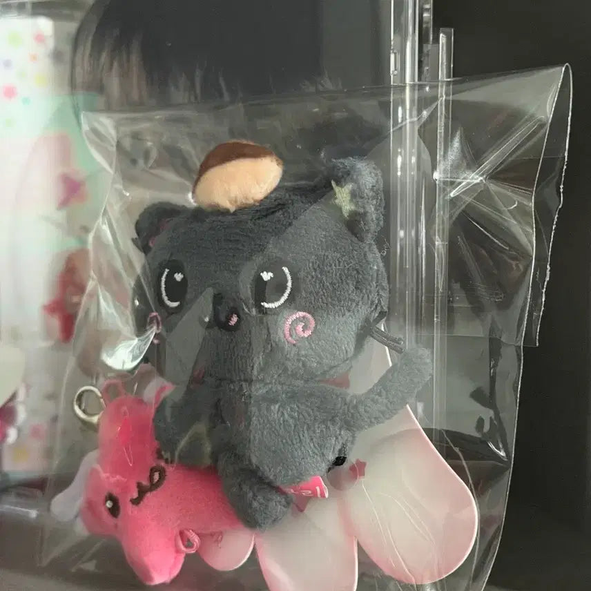 미개봉 엔시티 위시 리쿠 위시돌 미니돌 쿠리 nctwish