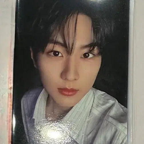 엔하이픈 YOI US target LD 미국 럭드 포카 양도