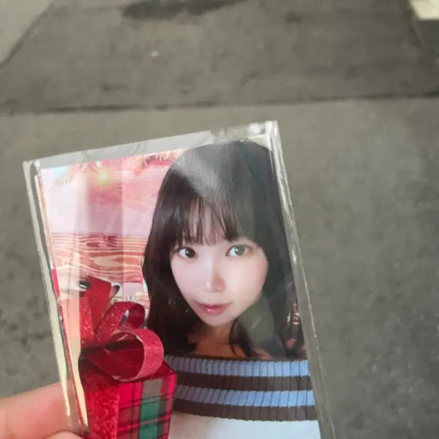 르세라핌 가요대축제 포토카드