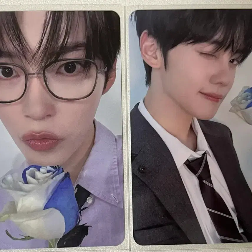 제로베이스원 포카 일괄 판매