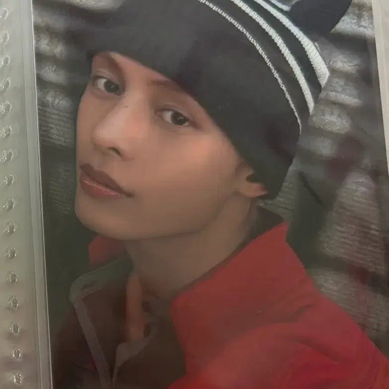 코르티스 시그 제임스 포카 양도