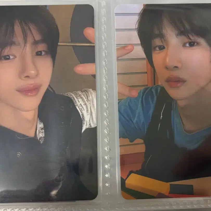 코르티스 시그 주훈 포카 양도