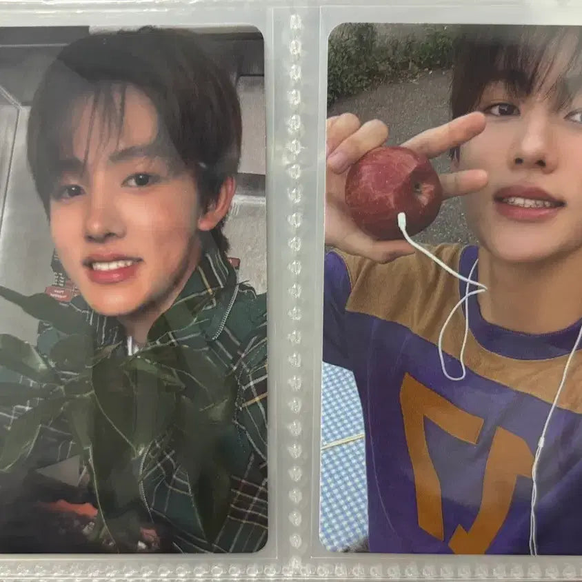 코르티스 성현 시그 포카 양도