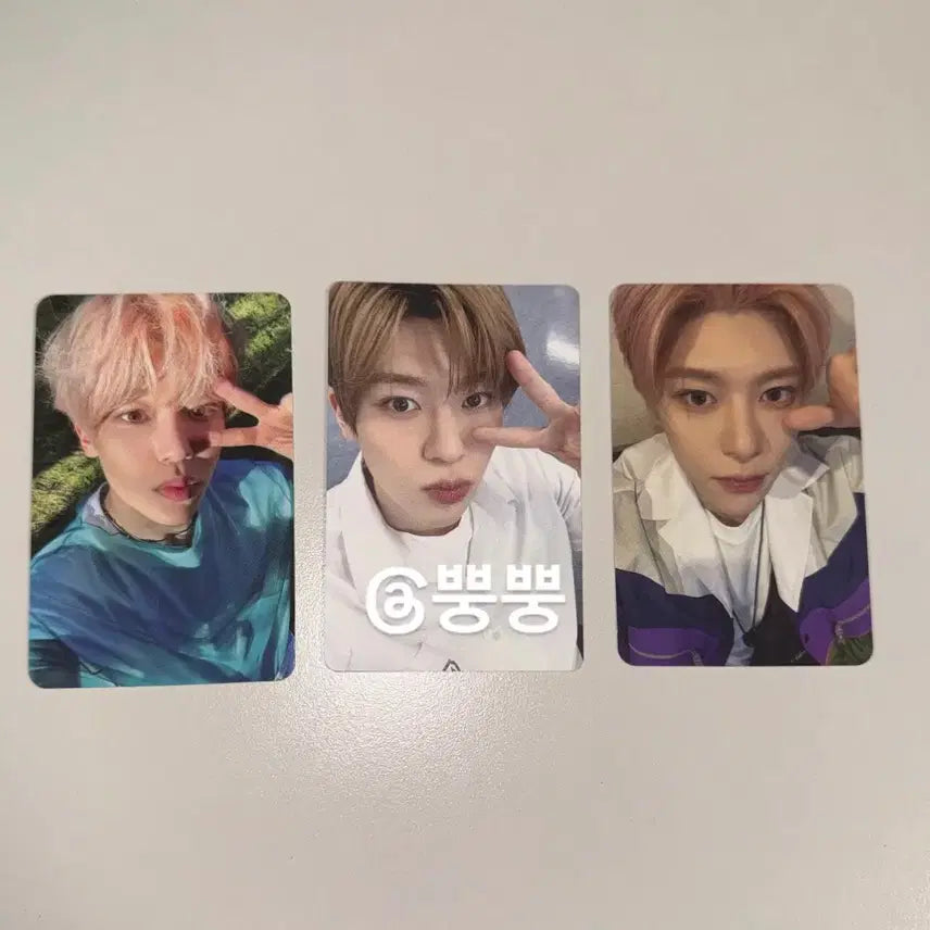 엔시티위시 시온 포카 양도 sion