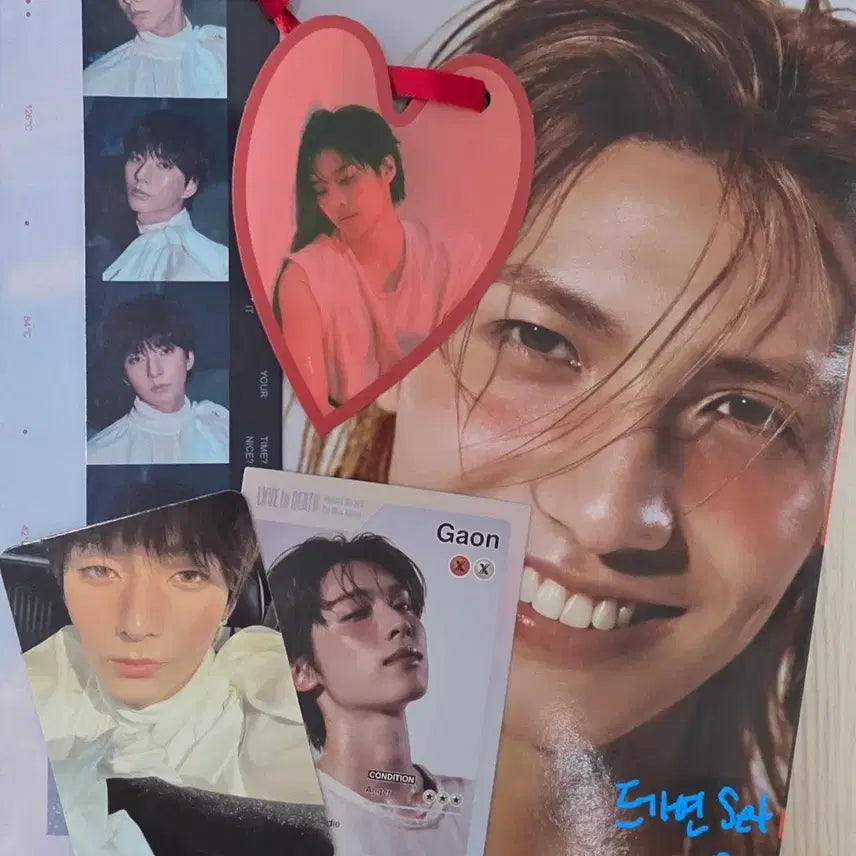 럽투데 엑디즈 드가연세트