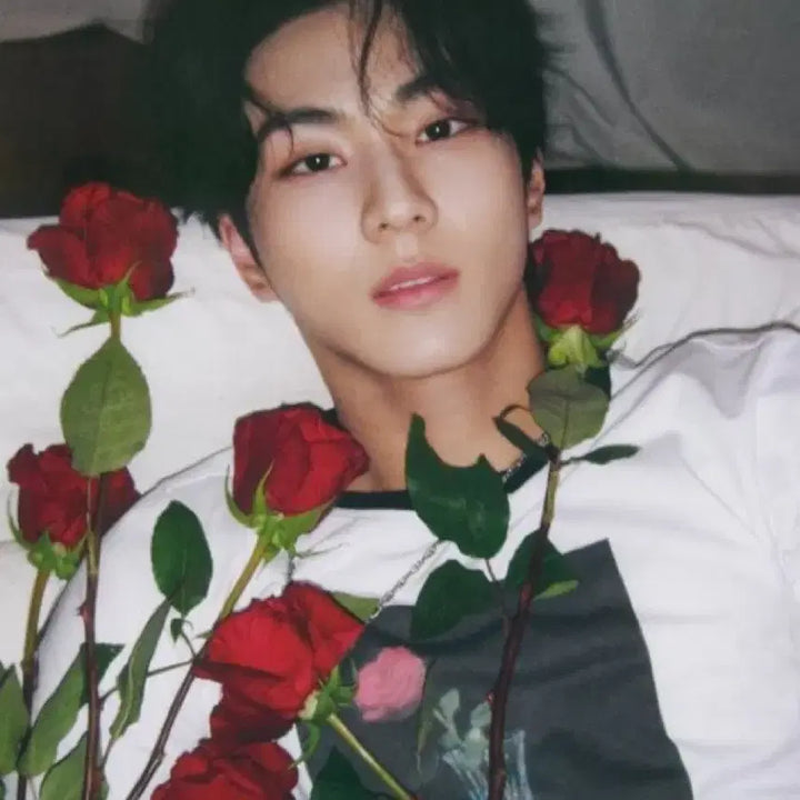 엔하이픈 정원 친필싸인 폴라로이드