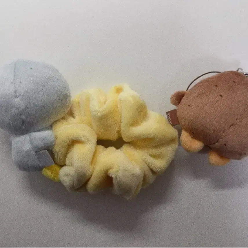 라이즈 송용돌이 스크런치 판매