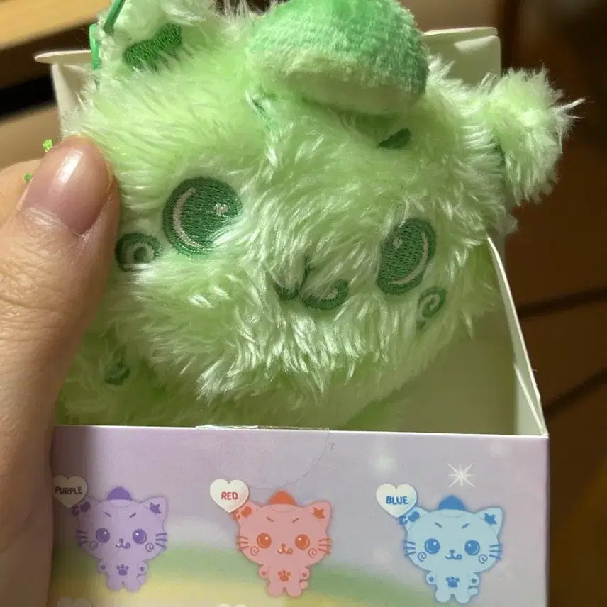 엔시티 컬러 위시돌 쿠리 양도