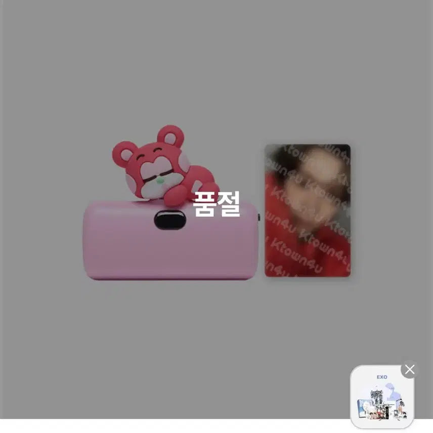 라이즈 쇼타로 리즈코 보조배터리