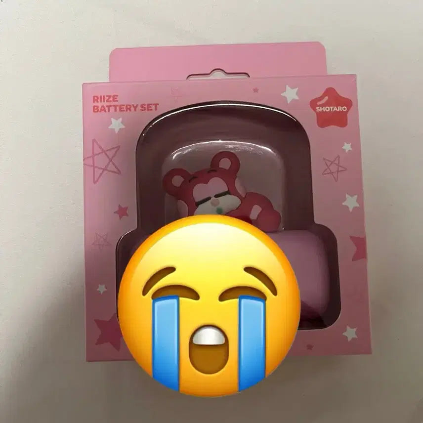 라이즈 쇼타로 리즈코 보조배터리