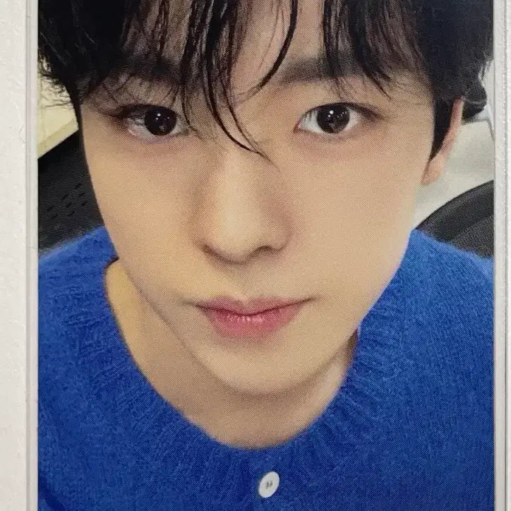 엔시티 위시 유우시 미공포 시그 뽀뽀 스테디 포카