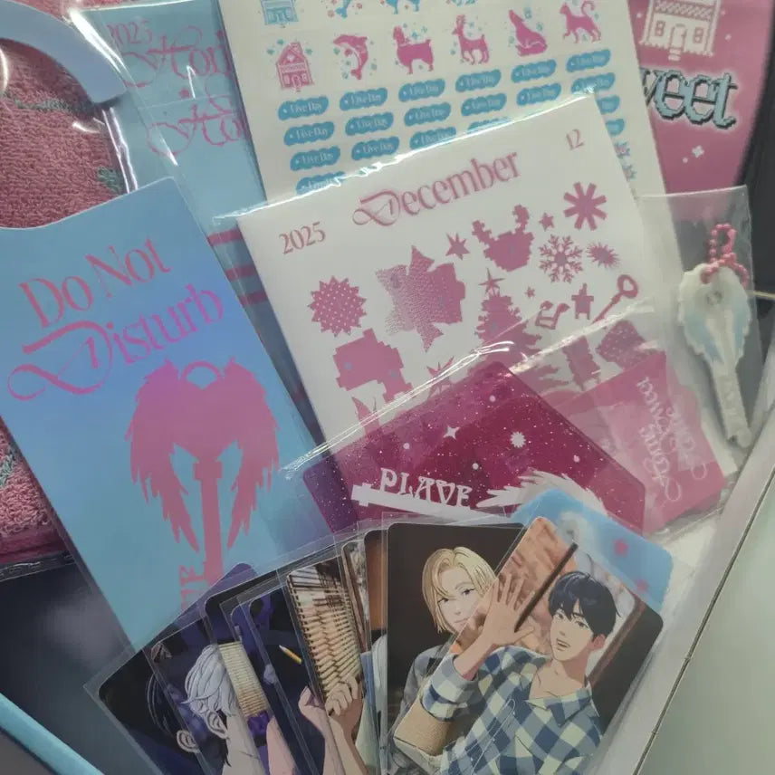 플레이브 2025 시그 (일괄)