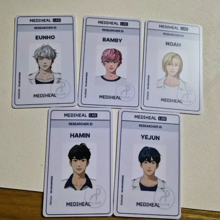 풀레이브 사원증 5장 일괄