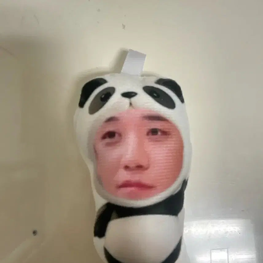 승리 이승현 빅뱅 판다 얼굴 인형