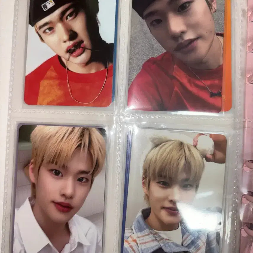 라이즈 소희 포카 전체 양도