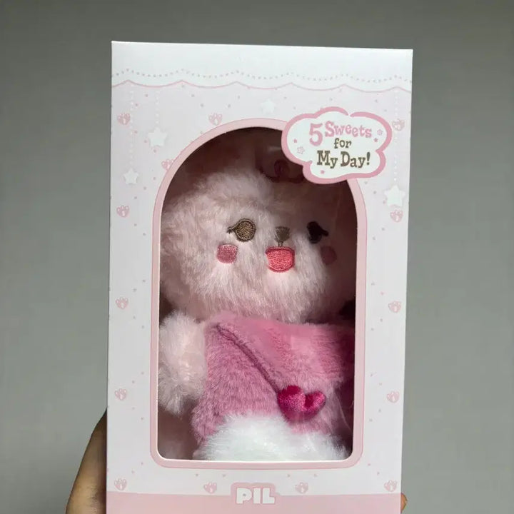 데이식스 보이스 쁘멀 필