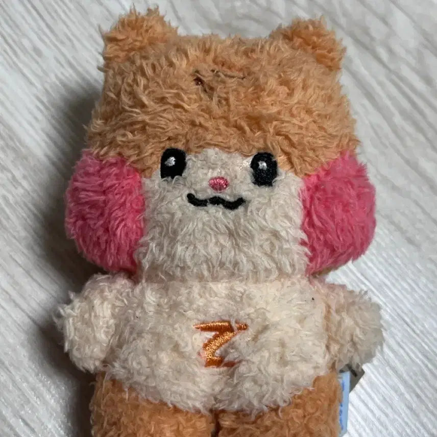 제베원 성한빈 비니니 13cm 인형