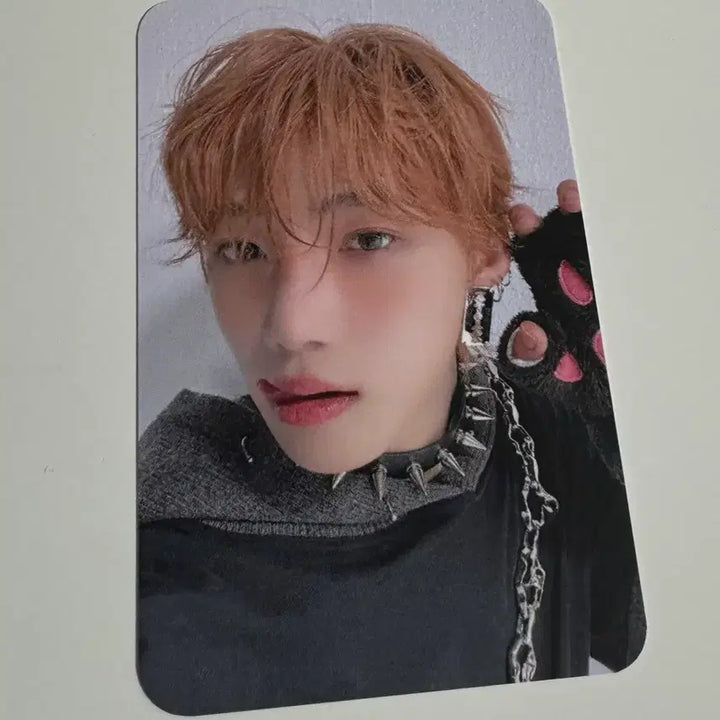 더보이즈 뉴 포카