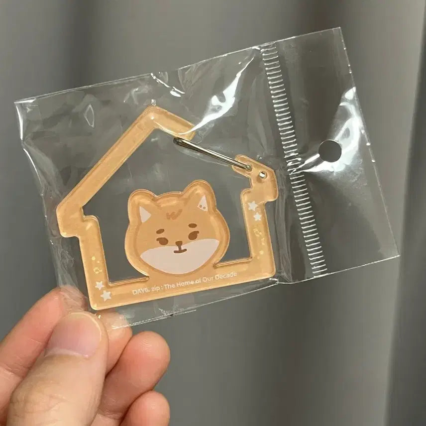 데이식스 케 카라비너