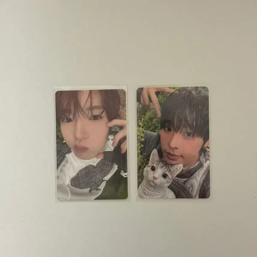 nctwish 엔시티위시 컬러 포토북 쥬얼 초회한정반 리쿠 사쿠야일괄