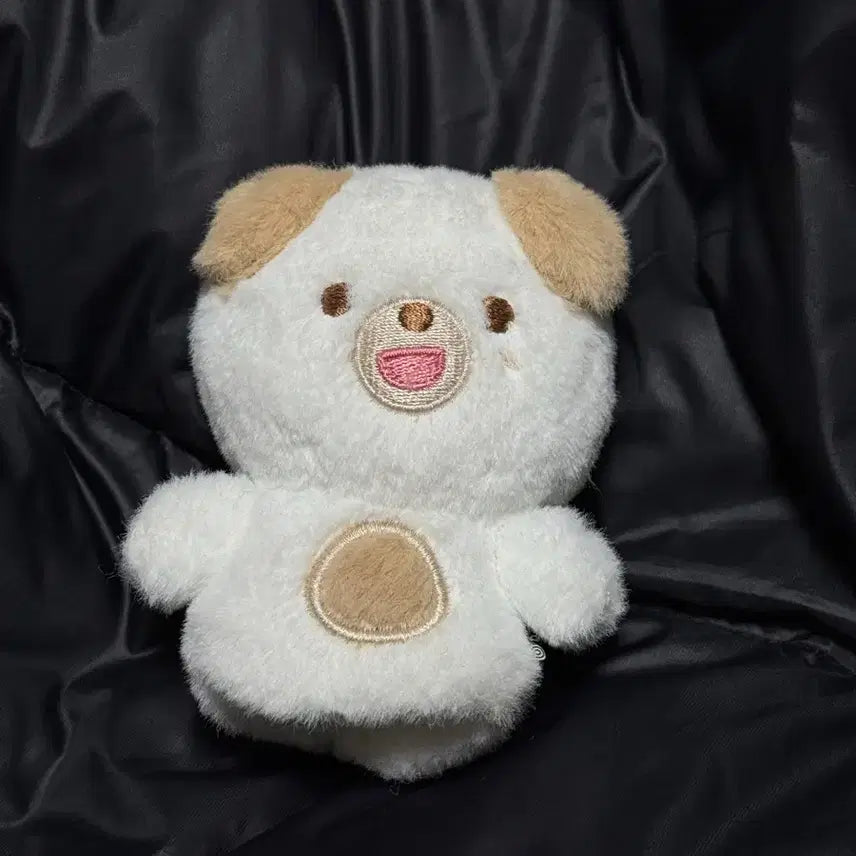 데이식스 도운 쁘띠멀즈 손가락 인형 돈