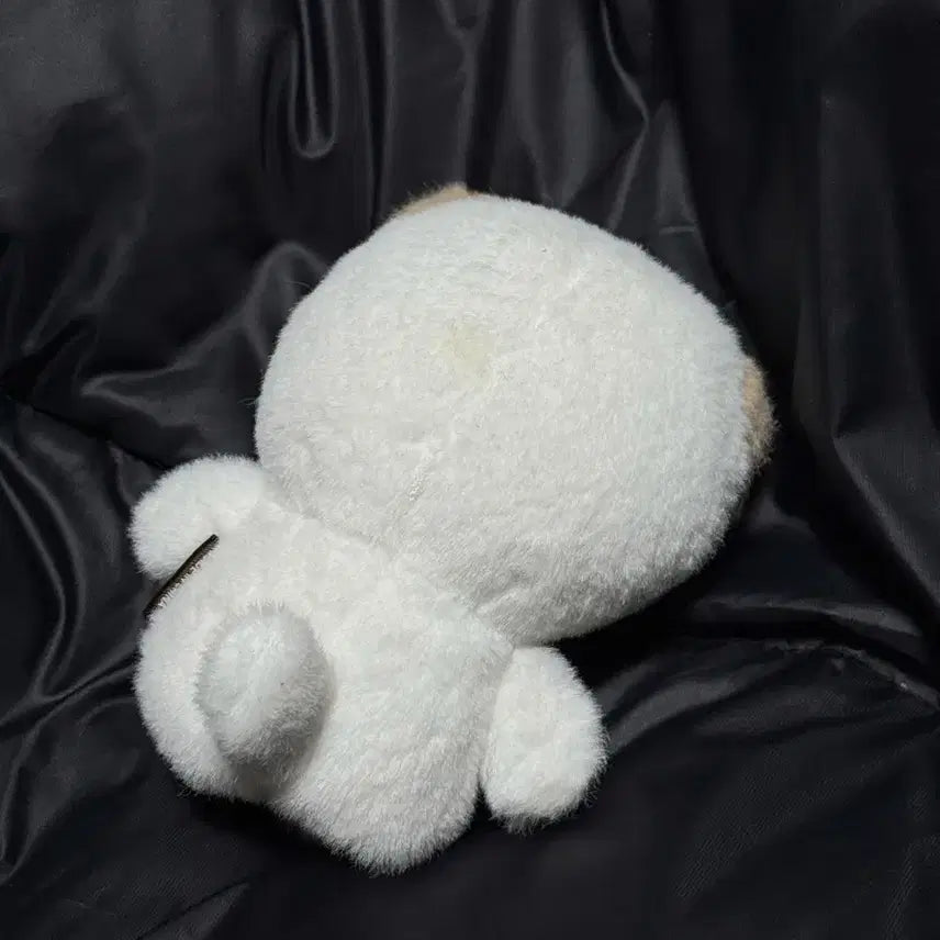 데이식스 도운 쁘띠멀즈 손가락 인형 돈