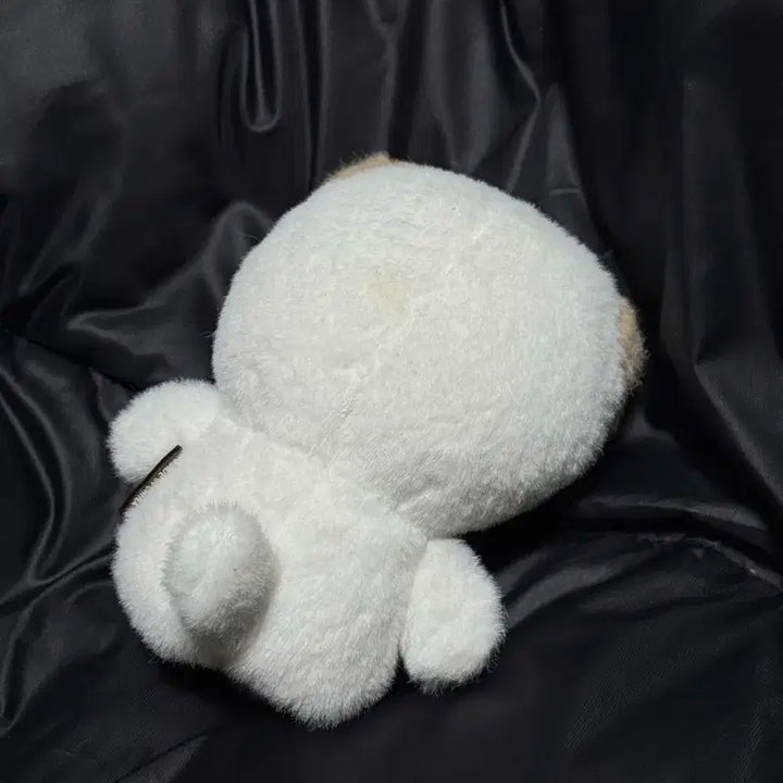 데이식스 도운 쁘띠멀즈 손가락 인형 돈