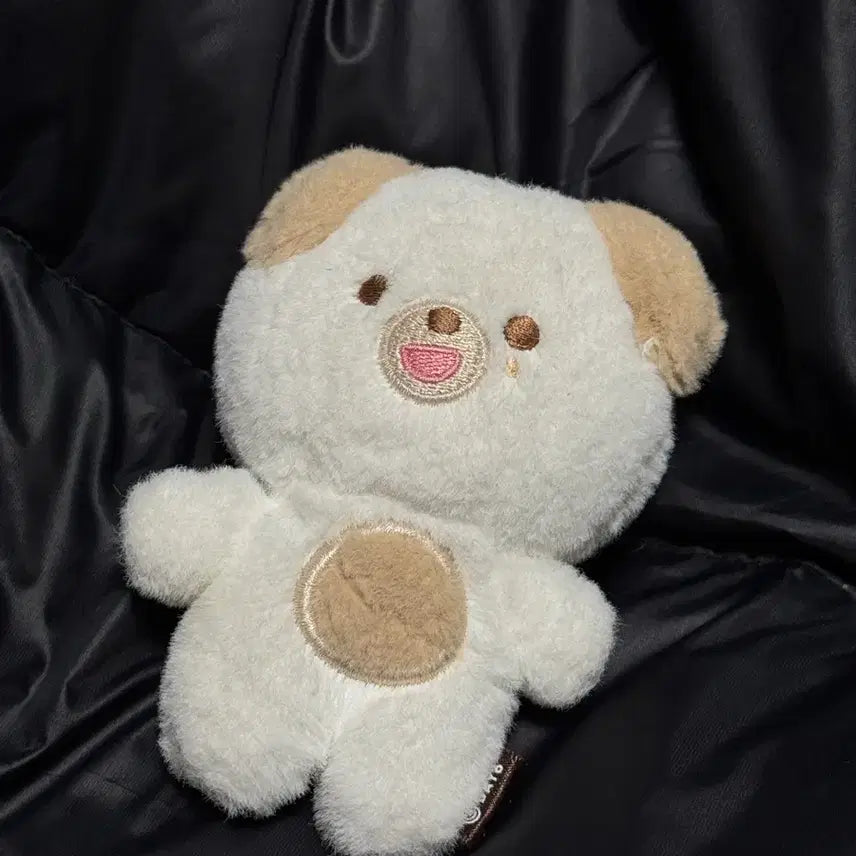 데이식스 도운 쁘띠멀즈 돈