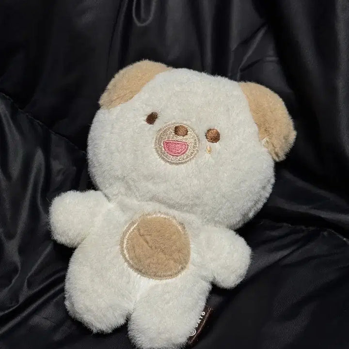 데이식스 도운 쁘띠멀즈 돈