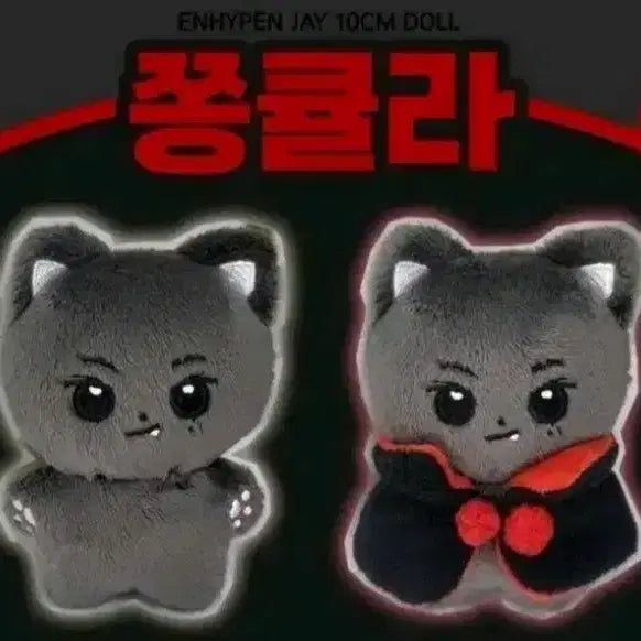 엔하이픈 제이 박종성 인형 쫑큘라 망토 포함 양도