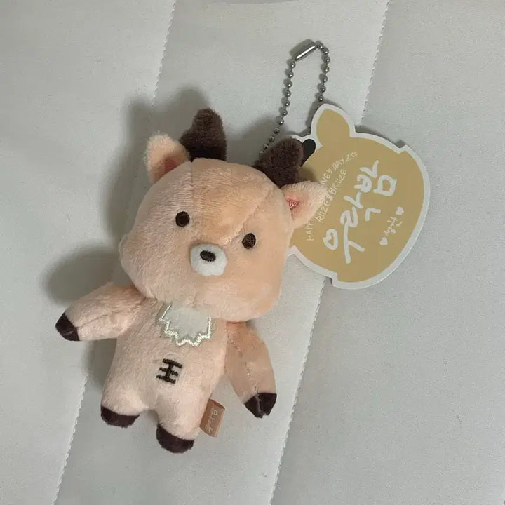 라이즈 성찬 우락밤1기