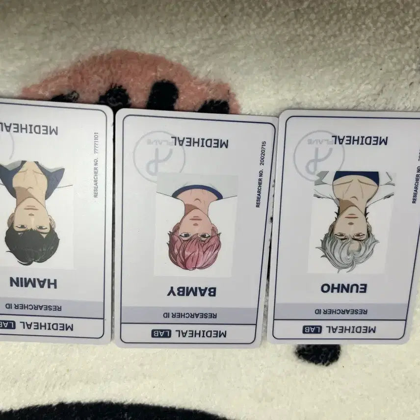 메디힐 연구원증 은호/밤비/하민  플레이브