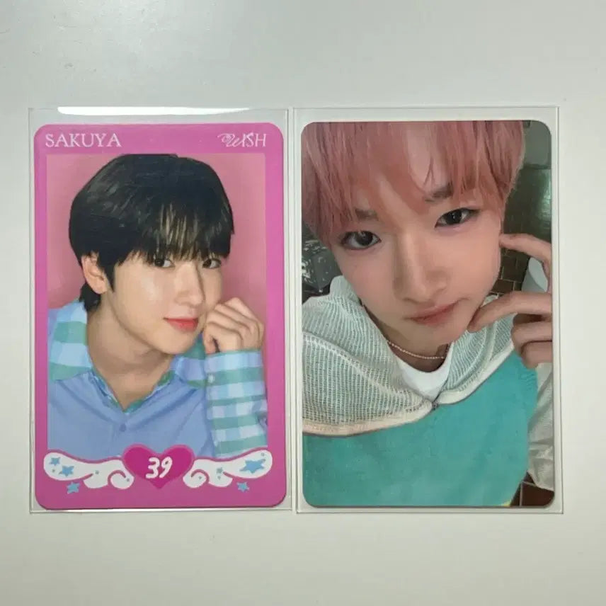 일괄) 엔시티위시 사쿠야 컬러 에버라인 특전 스테디 포카