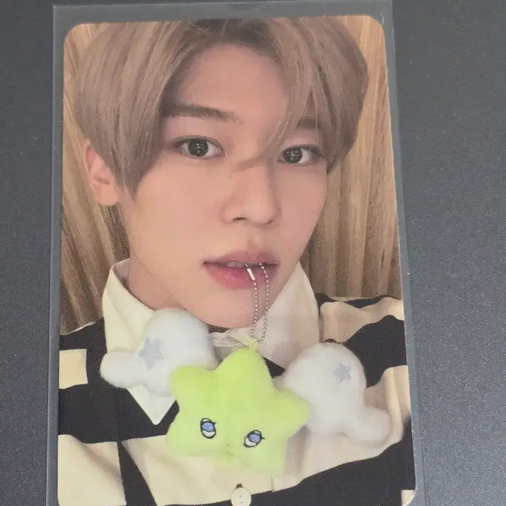 엔시티 위시 시온 WISH WICHU Ver. 위츄 포카 양도