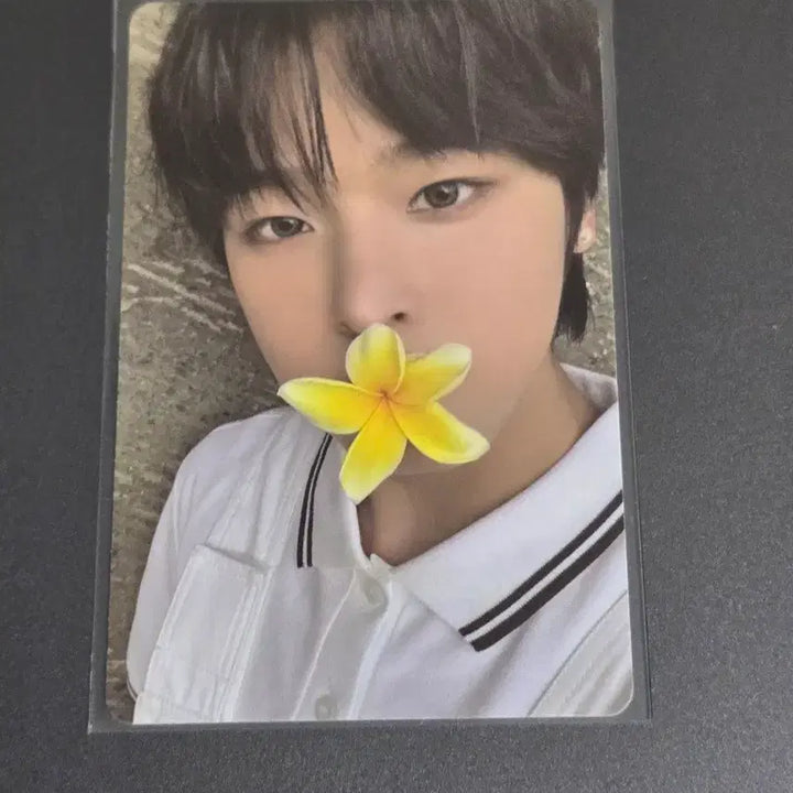 엔시티 위시 리쿠 COLOR Surf Ver. 컬러 서프 포카 양도