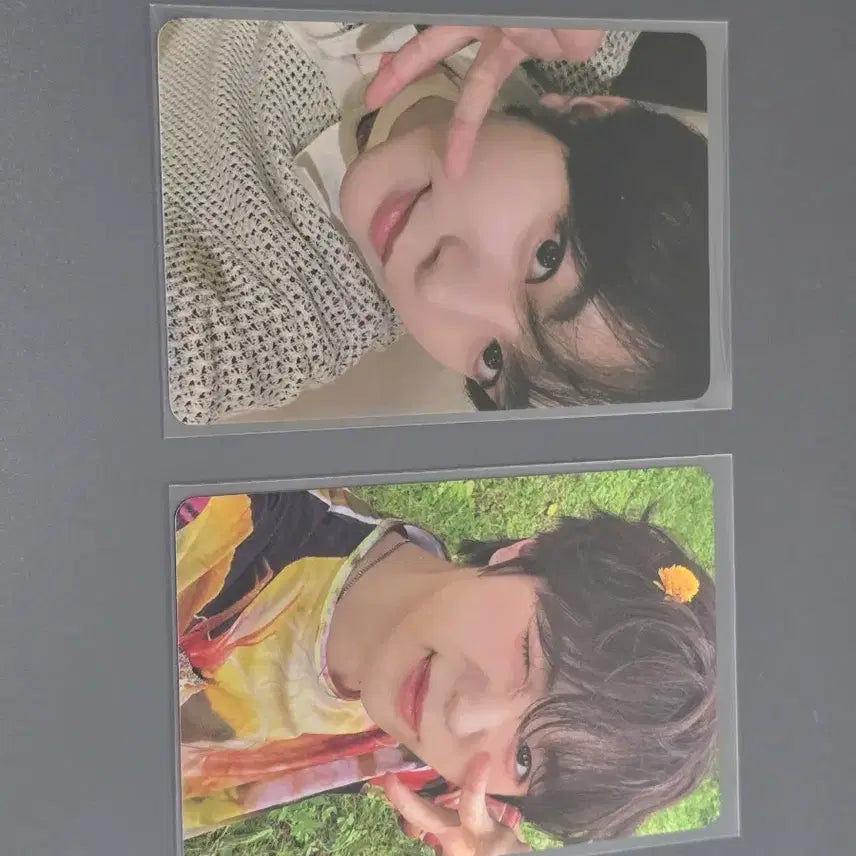 엔시티 위시 료 컬러 스테디 포카 일괄 양도