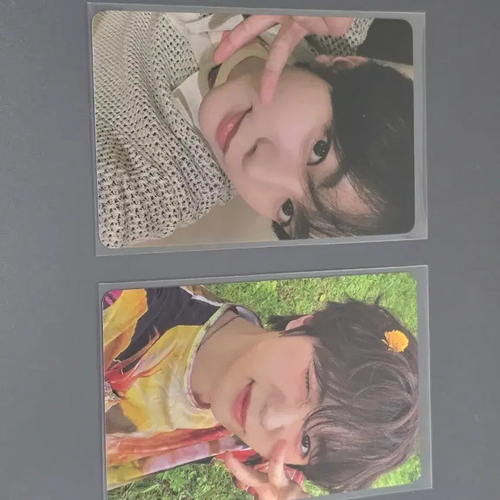 엔시티 위시 료 컬러 스테디 포카 일괄 양도