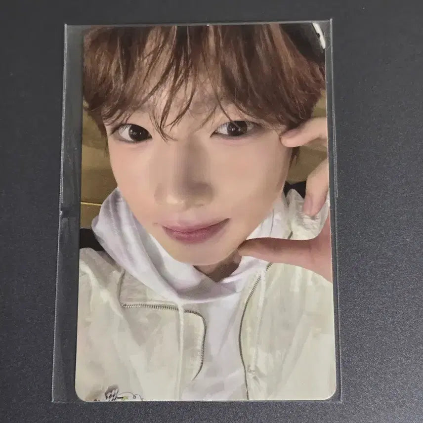 엔시티 위시 사쿠야 팝업 5만원 이상 특전 포카 양도